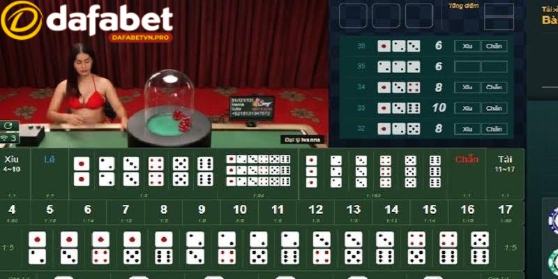 Quy trình chơi tài xỉu Dafabet đơn giản và dễ hiểu Quy trình chơi tài xỉu Dafabet đơn giản và dễ hiểu